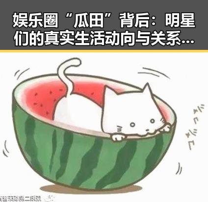 娱乐圈“瓜田”背后：明星们的真实生活动向与关系微妙变化