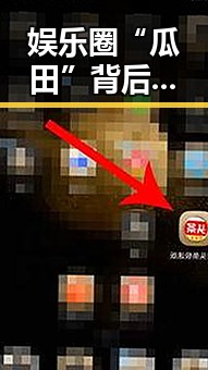 娱乐圈“瓜田”背后：明星们的真实生活动向与关系微妙变化