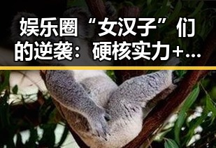 娱乐圈“女汉子”们的逆袭：硬核实力+真实魅力大爆发！