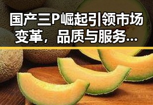 国产三P崛起引领市场变革，品质与服务双升级
